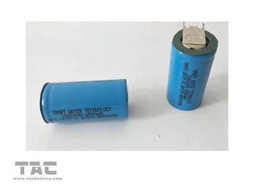 Zet lithium Ionen Cilindrische Batterij 22430 PCB Batterij met Markering op